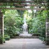 Image related to Orquidário Municipal