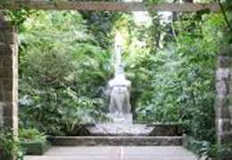 IgluCruise.Application.ViewModels.Shared.WebImageViewModel?.Description