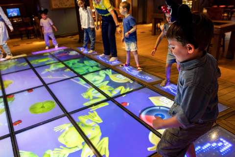 Image related to Disney Adventure