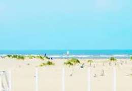 IgluCruise.Application.ViewModels.Shared.WebImageViewModel?.Description