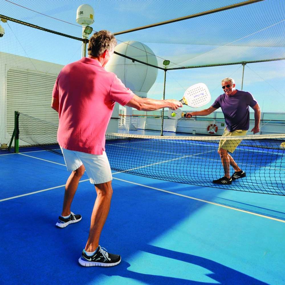 Paddle tennis court