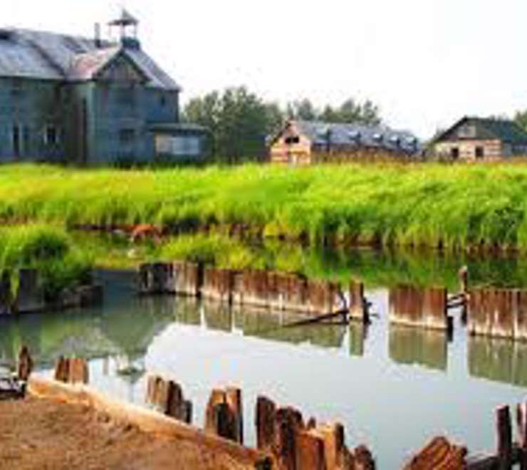 Visit Pilgrim Hot Springs