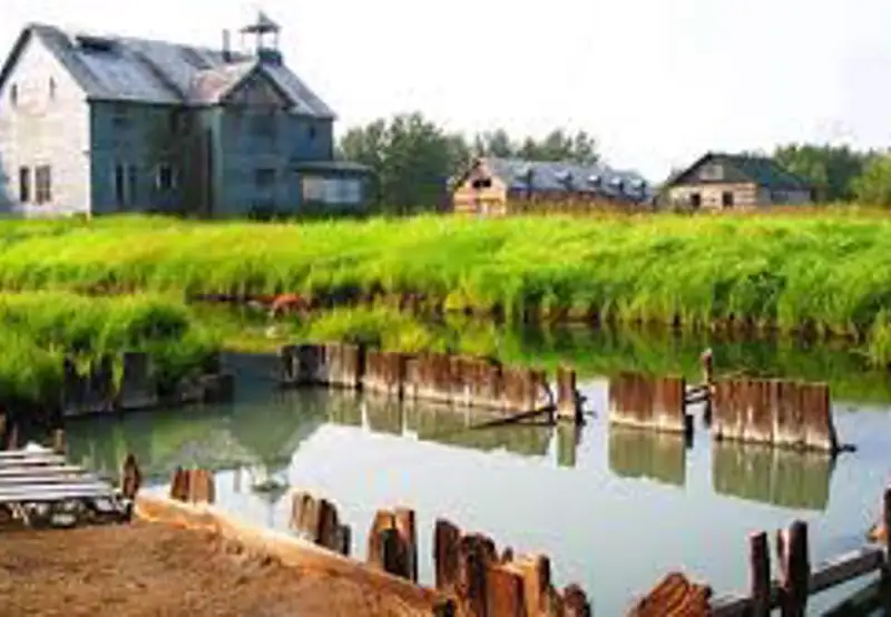 Visit Pilgrim Hot Springs