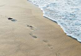 IgluCruise.Application.ViewModels.Shared.WebImageViewModel?.Description