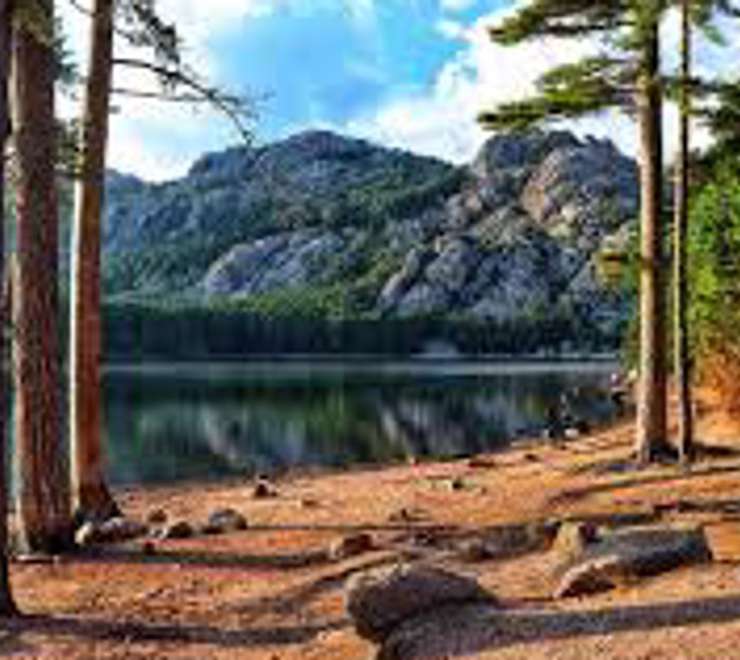 Hike in  Ospedale Forest