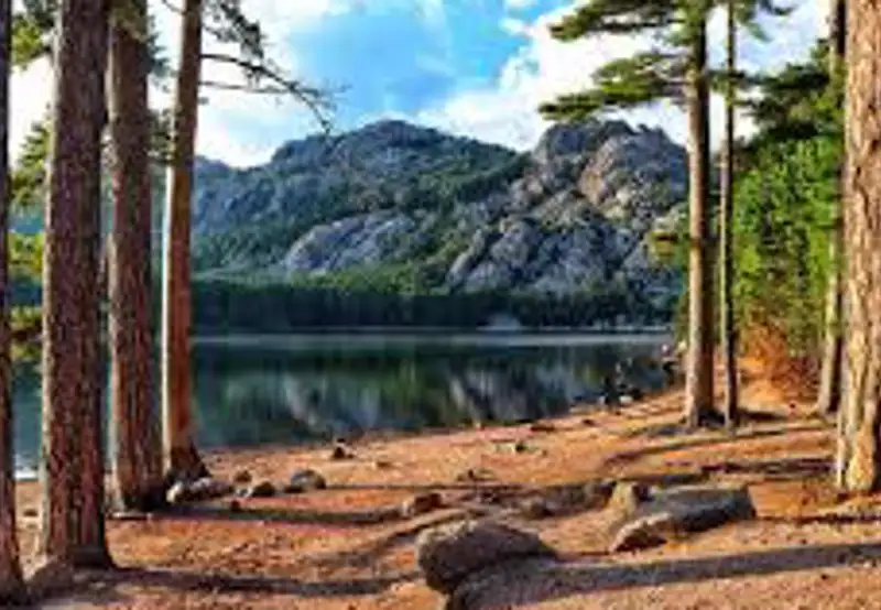 Hike in  Ospedale Forest