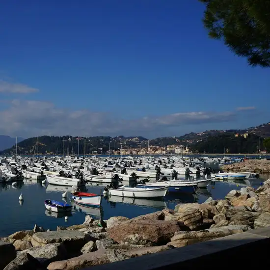 Lerici