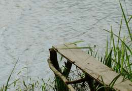 IgluCruise.Application.ViewModels.Shared.WebImageViewModel?.Description