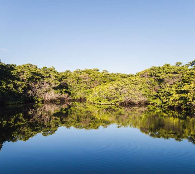 Baltra, Galapagos