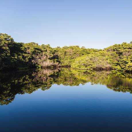 Photo overview of Baltra, Galapagos