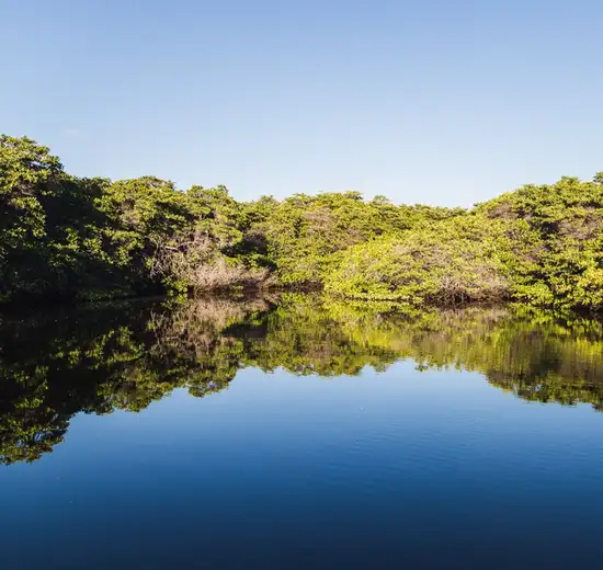 Image related to Baltra, Galapagos