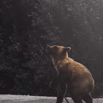 Image related to Image related to Museum 