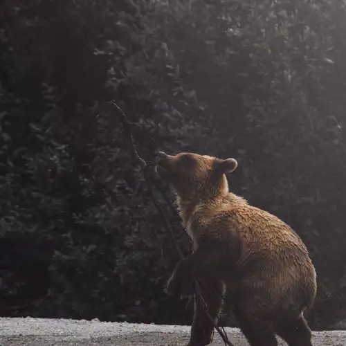 Image related to Museum 