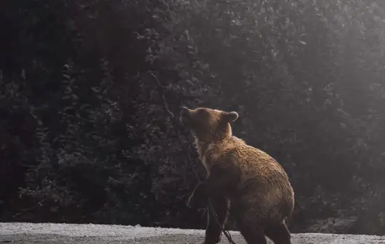 Image related to Museum 