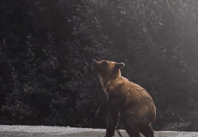 Image related to Museum 