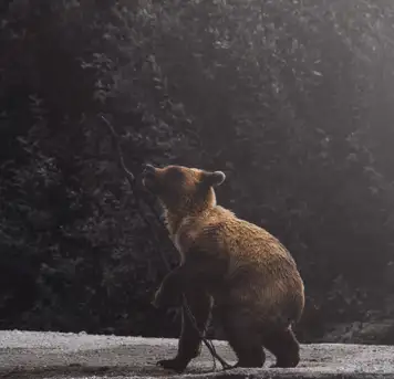 Image related to Museum 