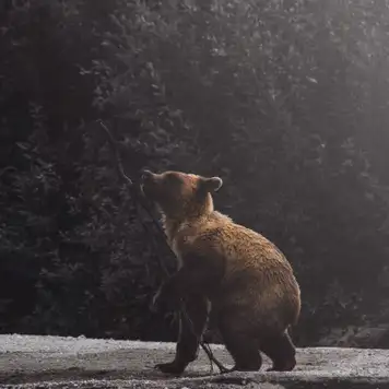 Image related to Museum 