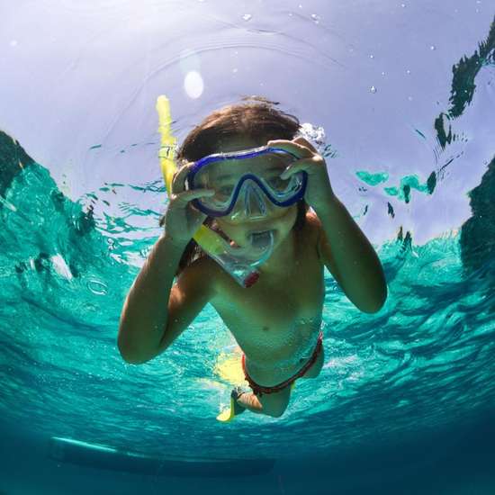 Snorkel Equipment