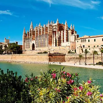 Image related to Le Seu Cathedral