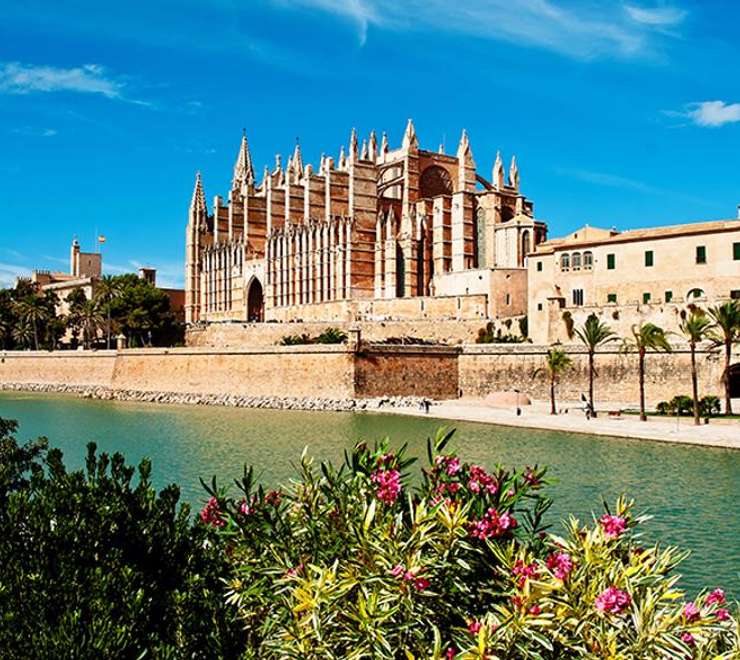 Le Seu Cathedral