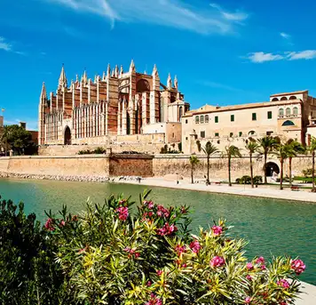 Image related to Le Seu Cathedral