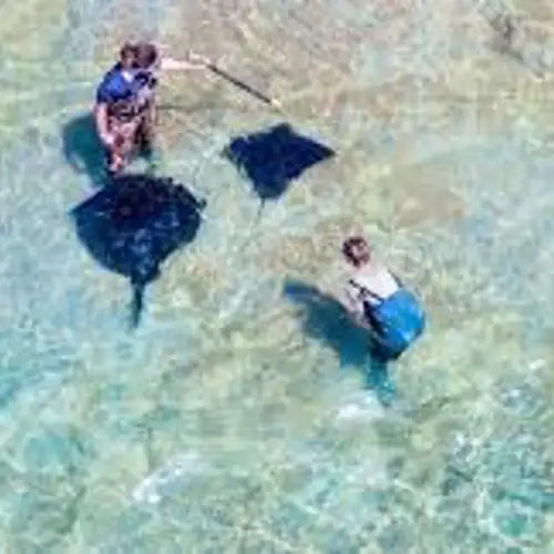 Image related to Dive Tatapouri