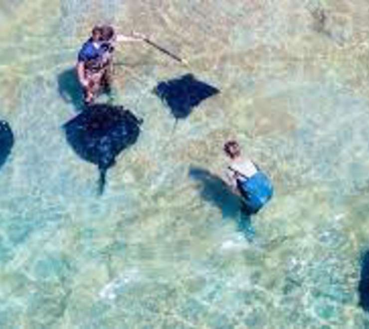 Dive Tatapouri