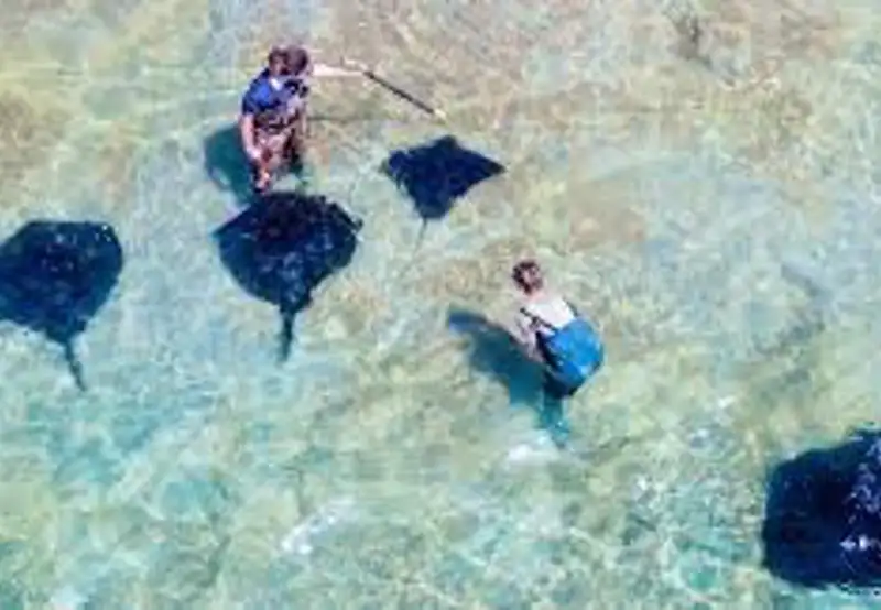 Dive Tatapouri
