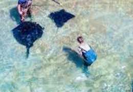 IgluCruise.Application.ViewModels.Shared.WebImageViewModel?.Description