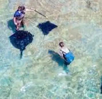Image related to Dive Tatapouri