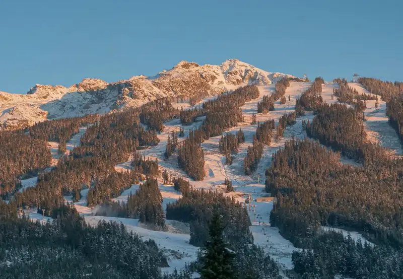 Whistler Mountain