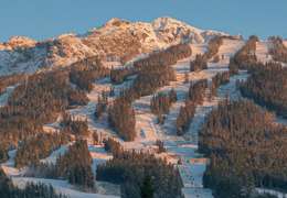 IgluCruise.Application.ViewModels.Shared.WebImageViewModel?.Description