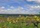 Finger Lakes