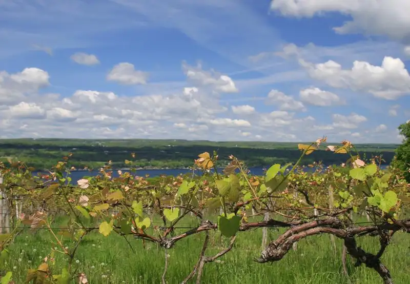 Finger Lakes New York USA