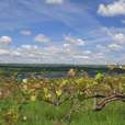 Finger Lakes New York USA