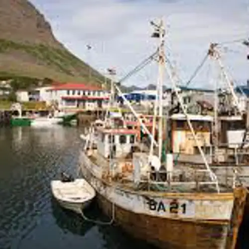 Image related to Take a Harbour Walk