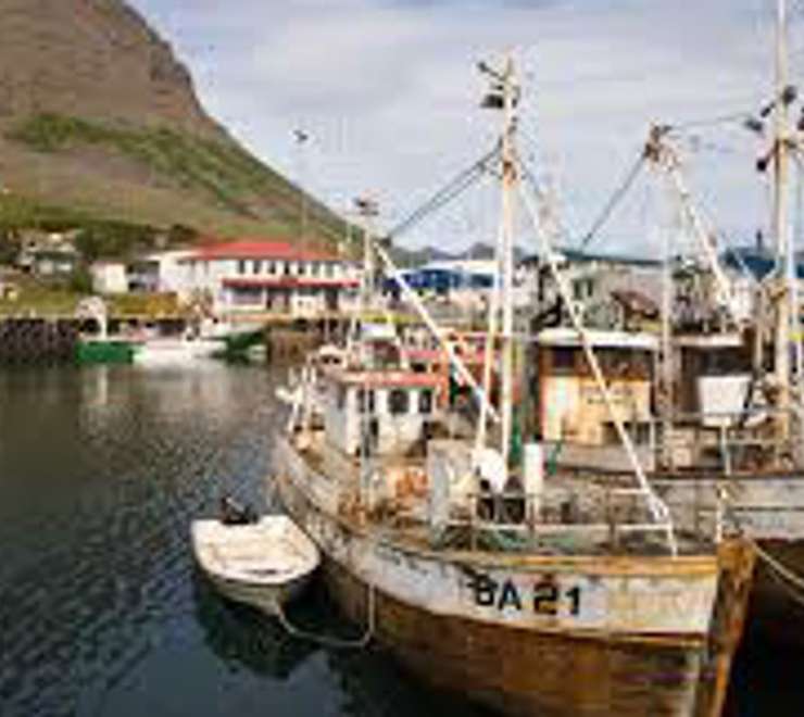 Take a Harbour Walk