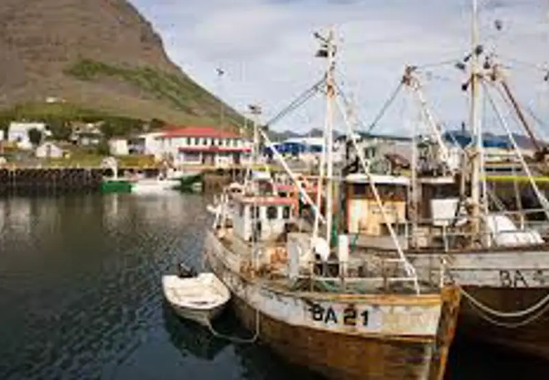 Take a Harbour Walk