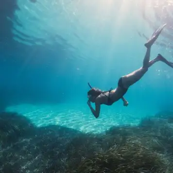 Image related to Snorkeling Lagoons