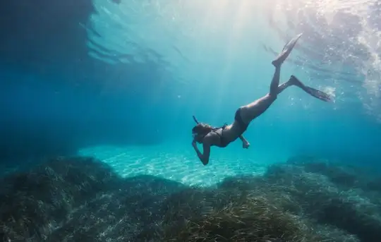 Image related to Image related to Snorkeling Lagoons