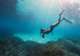 Snorkeling Lagoons