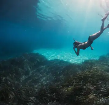 Image related to Snorkeling Lagoons
