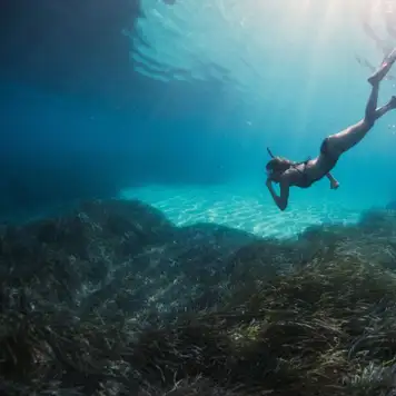 Image related to Image related to Snorkeling Lagoons