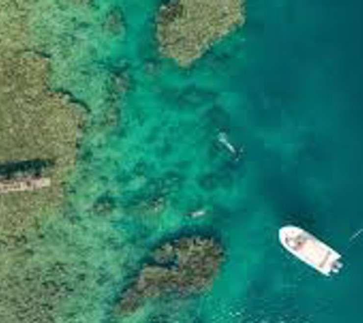 Pearl Farm Tour