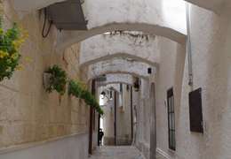 IgluCruise.Application.ViewModels.Shared.WebImageViewModel?.Description