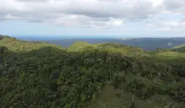 Image related to Cable Car