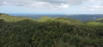 Image related to Cable Car