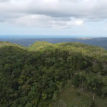 Image related to Image related to Cable Car