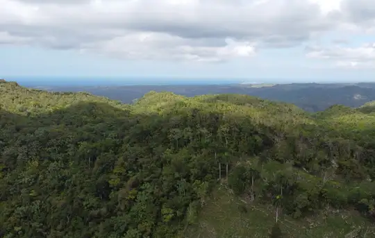 Image related to Cable Car