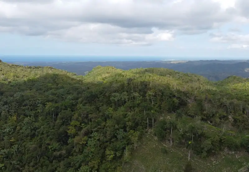 Image related to Cable Car